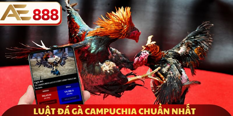 Luật đá gà Campuchia chuẩn nhất