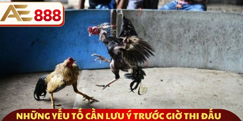 Những yếu tố cần lưu ý trước giờ thi đấu 