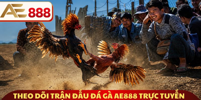 Theo dõi trận đấu đá gà AE888 trực tuyến